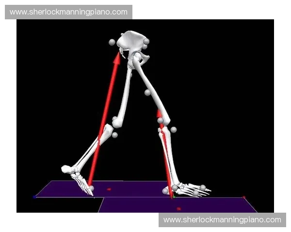 生物力学在运动科学中的应用与发展研究探索
