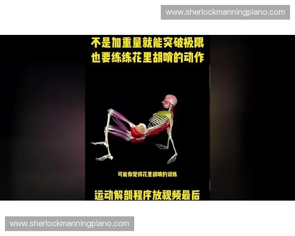 全方位提升运动表现的专业训练课程，助你突破极限，打造健康强健体魄